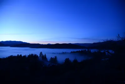 DSC_1074 (Large).JPG